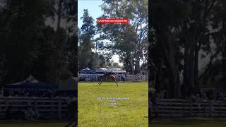 JINETEADA EN LA RINCONERA TIGRE |GRUPA| #caballos #horse