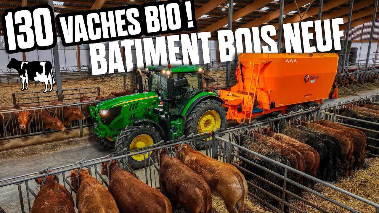 🤠 VISITE de ce MAGNIFIQUE BATIMENT d'ÉLEVAGE BOIS et ses 130 BÊTES BIO + CAGE DE CONTENTION !🐄