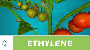 ETHYLENE