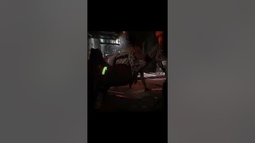 The Callisto Protocol JUMPSCARE!