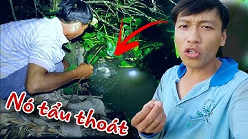 Cắm Câu Cá Lóc Kiểu Này Chịu Sao Nổi Đây | HIỆP GÀ TV