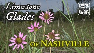 Limestone Glades of Nashville 