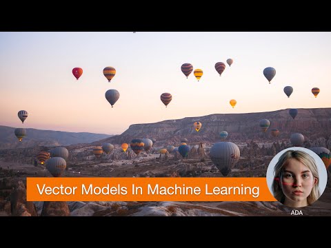 What Are Vector Models in Machine Learning