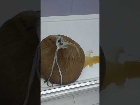 Варим пиво вкусно и доступно. Шоколадный стаут.