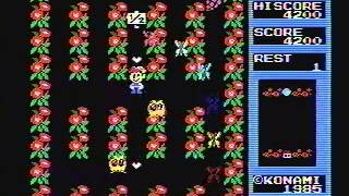 msx Pippols