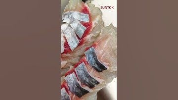 Fish Slicing Machine for basa fish