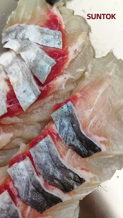 Fish Slicing Machine for basa fish