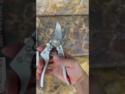 Video KÉO CẮT CÀNH CÂY SẮC VĨNH VIỄN SADA 210MM NHẬT BẢN. - youtube