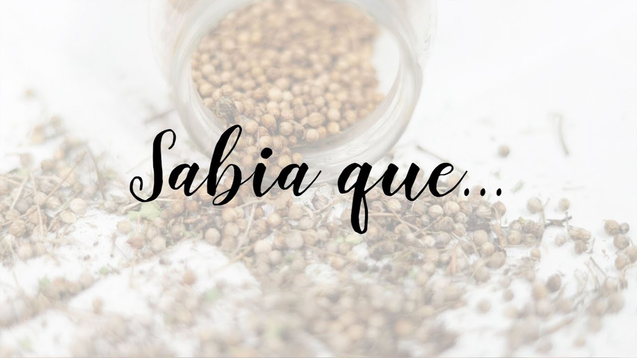 Sabia que... como produzir sementes de coentro