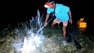 Menyuluh dan cari kerang malam hari tak disangka dapat ikan sebesar ini