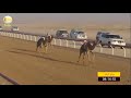 الشوط 6 مرمره لـ محمد صالح بن حبتور العامري شارة الإتحاد السبت 2018 10 13 الوقن حول