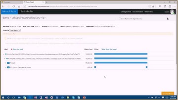 Service Profiler Overview