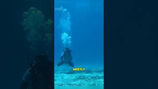 Celebrity Diver's decompression sickness. Wealth