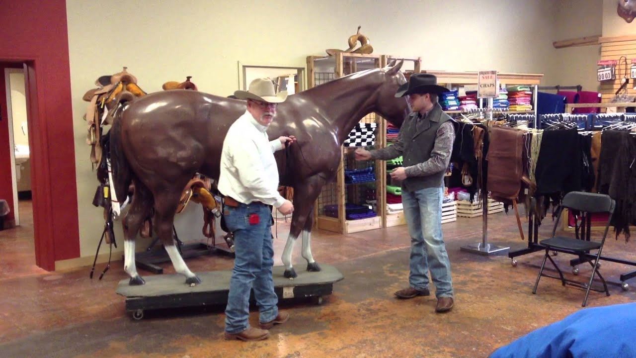 How To Measure A Horse Blanket YouTube