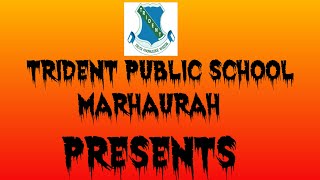 TRIDENT PUBLIC SCHOOL MARHAURAH (SARAN) screenshot 5