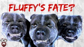 What Happened to Fluffy? (Harry Potter Theory)
Looking back on the first book there is one big question. WHAT HAPPENED TO FLUFFY? Well Taylor from Beard vs. Geek is here with another Harry Potter Theory to explain what happened to this giant three headed dog.
Website:
http://www.beardvsgeek.com
Subscribe:
https://www.youtube.com/c/beardvsgeek
Join us on Facebook:
www.facebook.com/BeardvsGeek/
Should Hagid be in Jail?:
https://youtu.be/C71E_5n7Szw
The Defense of Slytherin:
https://youtu.be/HymhBQVG1ro
Music by:
www.bensound.com
Harry Potter video Copyright: Warner Brothers. Beard vs. Geek Copyright: Underwood Entertainment LLC What Happened to Fluffy? (Harry Potter Theory)