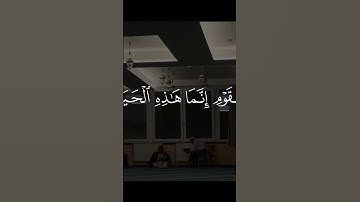 #المصحف #تلاوة_خاشعة #تلاوات #ايات_قرانيه_قصيره ايات