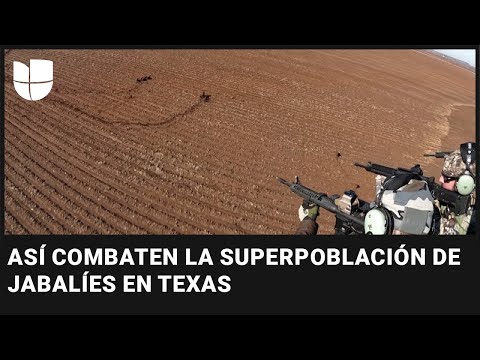 Video: Prospectos piloteados. Proyectos de naves espaciales para el futuro cercano