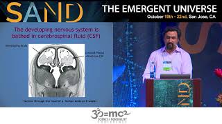 Does Our Cerebrospinal Fluid Give Us Being? Mauro Zappaterra
