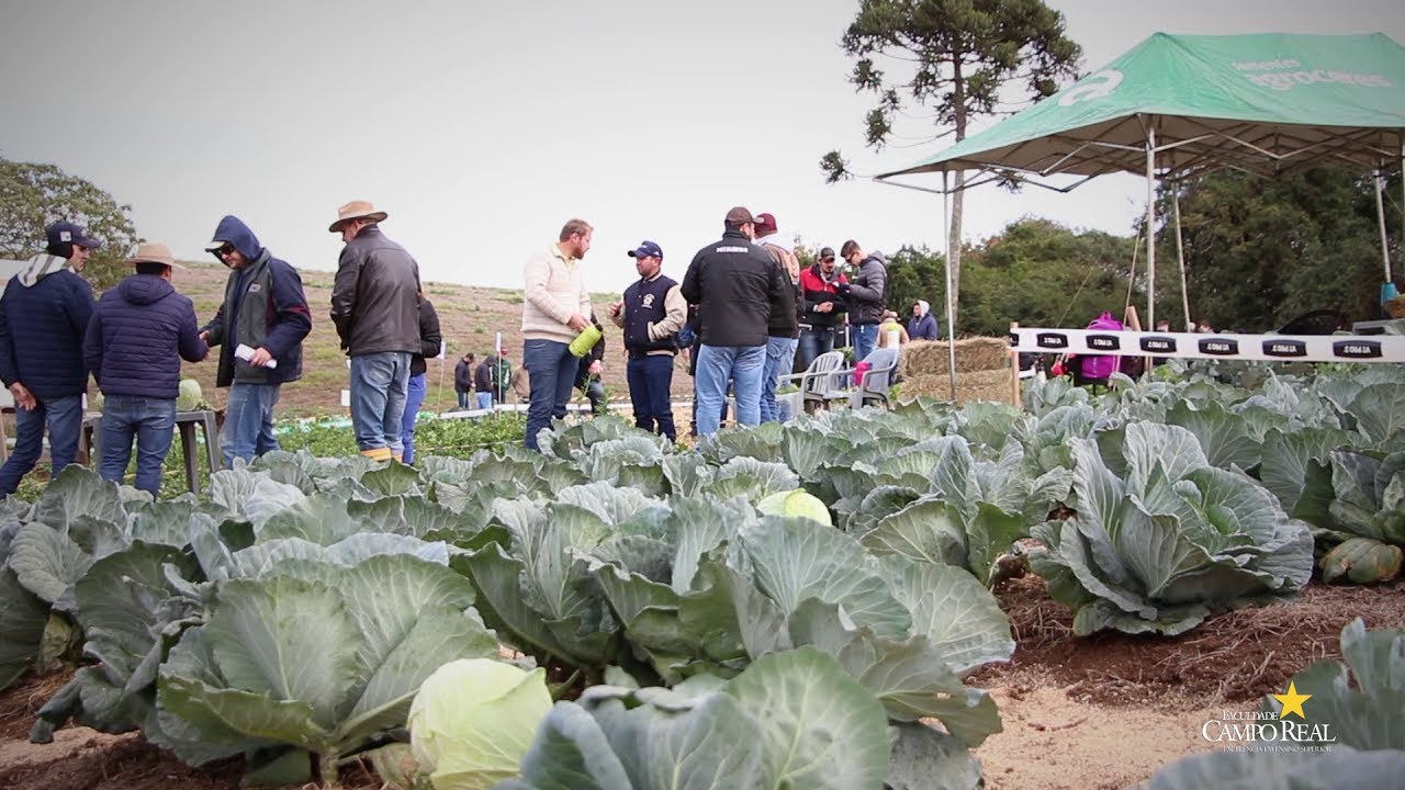 Dia de Campo de Olericultura | Engenharia Agronômica camera iphone 8 plus apk