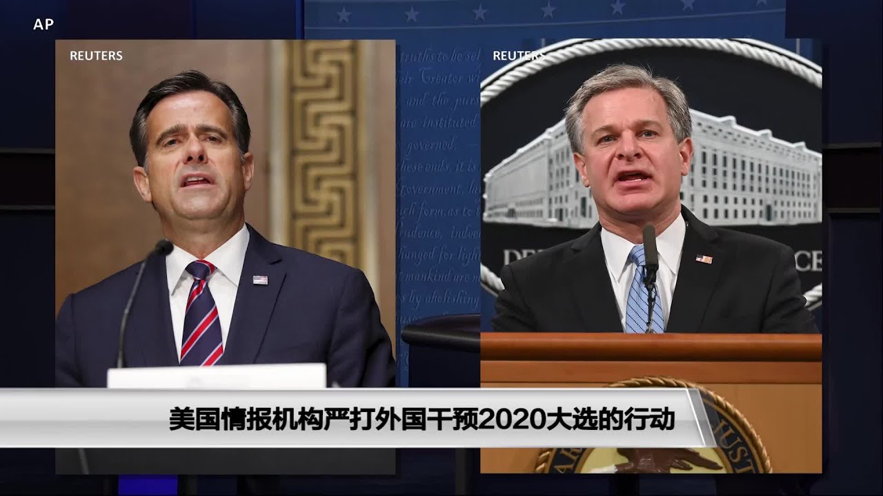 防中共干涉大选，白灯儿法网难逃-木秀于林-万维博客-万维读者网（电脑版）