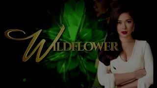 Wildflower OST Lyrics by Martin Nievera
