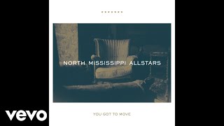Video thumbnail of "North Mississippi Allstars - You Got to Move (Audio)"