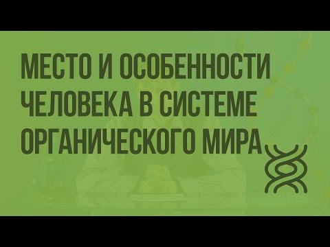 Место и особенности человека в системе органического мира. Видеоурок по биологии 9 класс