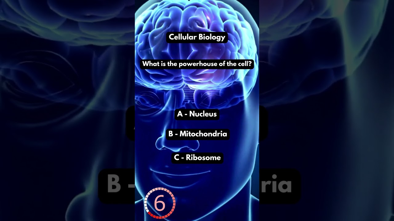 Biology Riddle Shorts