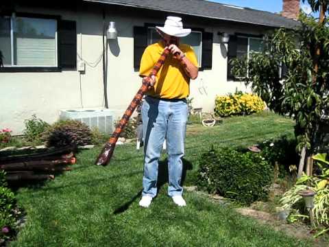 Didgeridoo - Carved snake with tail