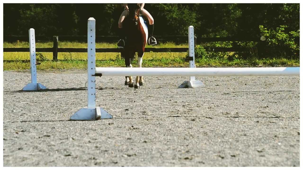 & i had a feeling that i belonged