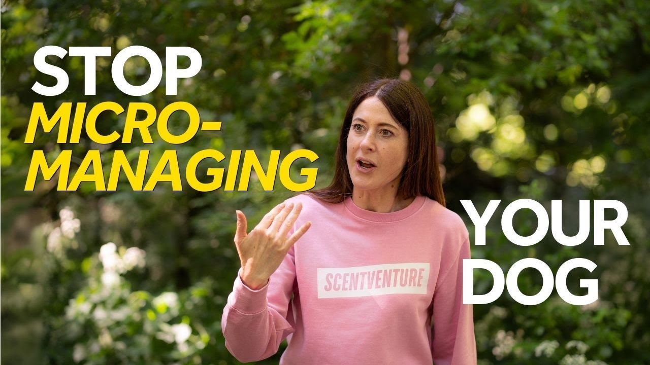 Why Distraction Isn’t Enough for Reactive Dogs