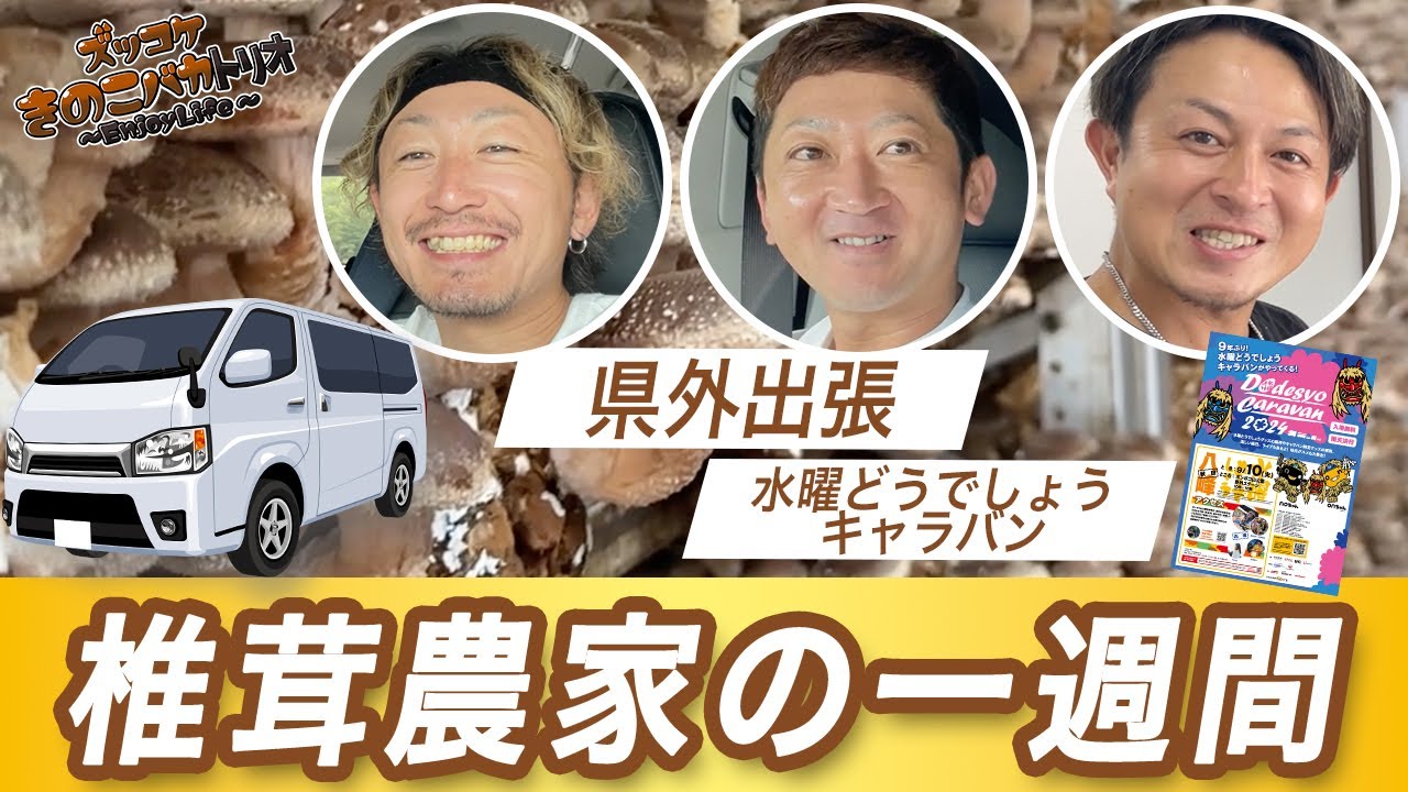 水曜どうでしょう藤村Dも大絶賛？！レンチナスが社運をかけた大勝負【日本一を目指す椎茸農家】