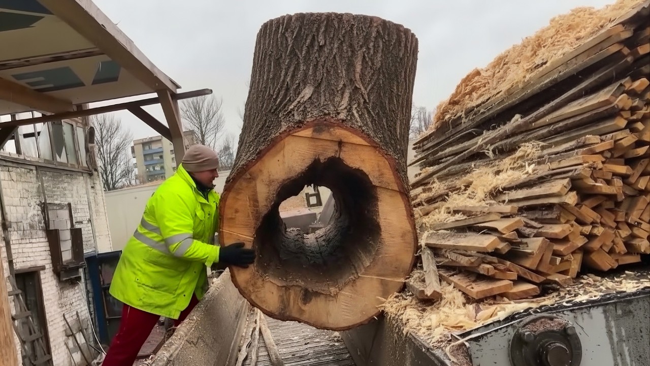 I’ve Never Seen This — MAX LOAD Tension in Wood Chips Production.