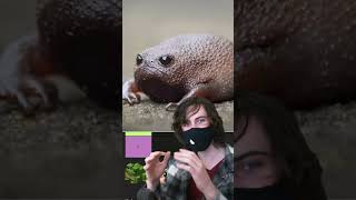 which frog is best? definitive frog tier list in 20 seconds