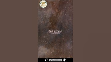 تلاوة مؤثرة جدا " يوم لا ينفع مال ولا بنون " #تلاوة_خاشعة #قران_كريم #الشيخ_ياسر_الدوسري