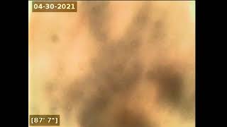 701 E 120th - 2
