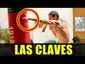 CLAVES Y FASES DEL PUÑETAZO