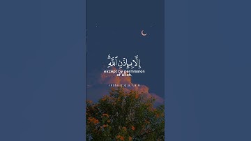 (مآ أصاب من مّصيبة إِلَّا بإِذن ٱللَّه) سورة التغابن قرآن _ Quran.