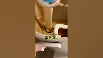 How To Clean Your Toilet Tank Lifehacks 