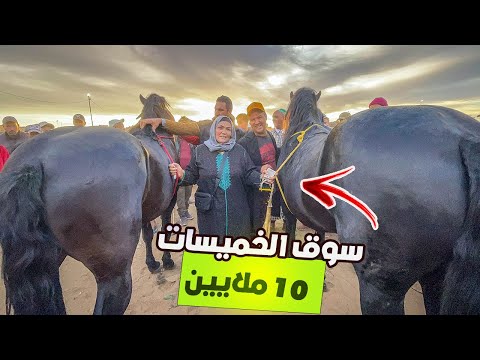 سوق الخميسات اليوم حماسي جوج خيوول دهماء خلات ناس دايخة ايوب جوكر قبل تحدي اشرق قيصر