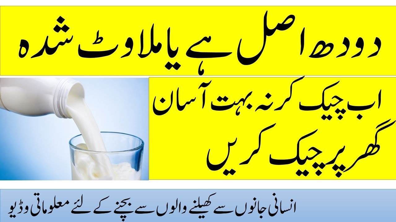 How To Check The Purity Of Milk At Home Pure Milk Test Milk In Few Minutes Youtube