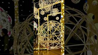 🎍FREE Japanese Illumination in Asakusa✨