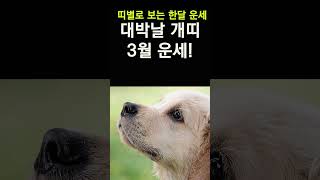 띠별운세! 2024년 3월 개띠운세! 대박나는 개띠운세! 갑진년 3월 한달운세! #띠별운세, #사주, #대박…