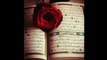 سورة المطففين القارئ عبد الرحمن