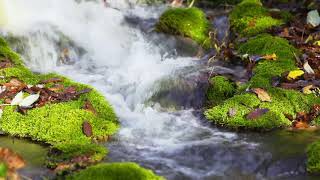 Relaxing piano music with mountain stream, Meditation music, Sleep music (  Oasis ; Liber ) screenshot 5