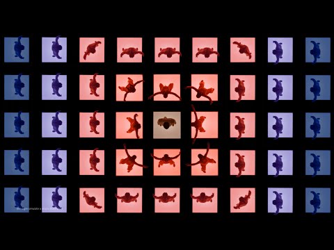 La risposta ad una visione di grandezza | Micro RGB | Samsung