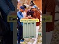 Answer How Many 👍 Pillars Having 😅 in the Picture ✅🤔 #shorts #quiz #challenge #shortsvideo