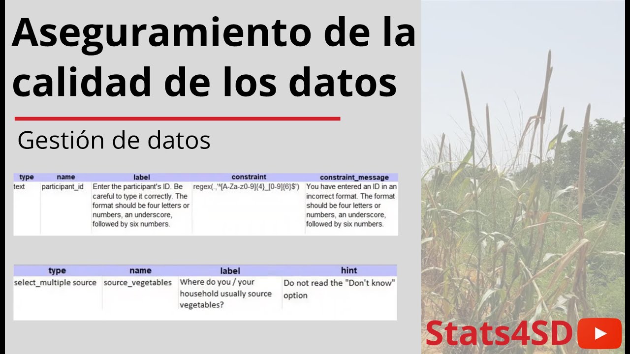 Gestión de datos: Aseguramiento de la calidad de los datos - YouTube