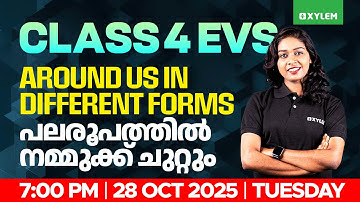 Class 4 EVS | Around Us in Different Forms | പല രൂപത്തിൽ നമ്മുക്ക് ചുറ്റും | Xylem Class 4